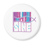 Hey Baby What's Your Sine magnets