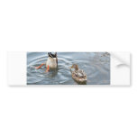 Hey Don't Stare at me While I'm Searching for Fish bumper stickers