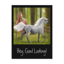 Hey Good Looking Horse Postcard