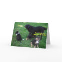 Hey, I heard it was your Birthday cards