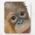 Hey, I'm a cute orangutan mousepads