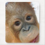 Hey, I'm a Cute Orangutan photo Mouse Pad