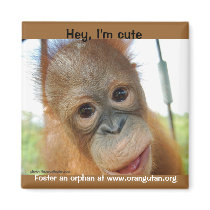 Hey, I'm a Cute Primate Magnet