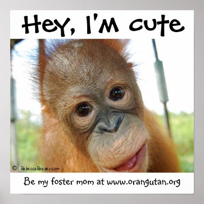 Hey, I'm Cute Orangutan Baby Posters by Rebecca_Reeder