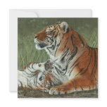 Hey Mum Wake Up! Tiger cub and mother card invitations