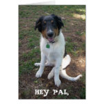 HEY PAL Whazzup! Greeting Card