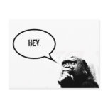 hey. postcards