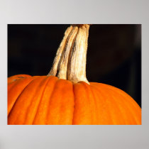 Hey Pumpkin Print