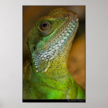 Hey There Poster