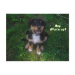 Hey, What's up? postcards
