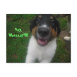 Hey, Whazzup?!!!