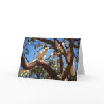 Hi Beautiful - Corella's cards
