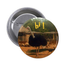 hi ! button