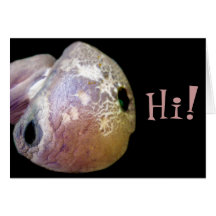 Hi! Card