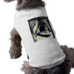 Hi from Mason pet clothing