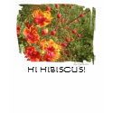 Hi Hibiscus Flower Tank Top t-shirts