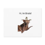 Hi im brutis