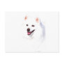 Hi Key Eskie Postcards