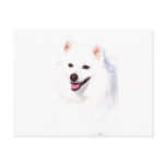 Hi Key Eskie postcards