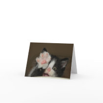 "Hi!" kitten note card