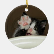 "Hi" Kitten Ornament