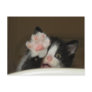 "HI" Kitten postcard