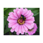 Hi,photobippy!You Encouraged This Photo To Be Here postcards