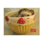 Hi ! postcards