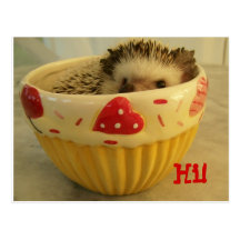 Hi ! postcards