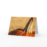 Hi Pumpkin Greeting Cards