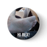 HI REX! PINBACK BUTTONS