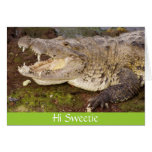 Hi Sweetie cards