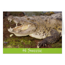 Hi Sweetie Card