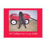 Hi Tailing over to say Hello postcards