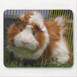 Hi there! (The Mousepad)