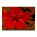 hibiscus-1 card