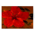 hibiscus-1 cards