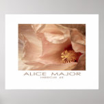 Hibiscus 63 posters