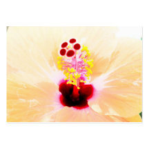 hibiscus business card template