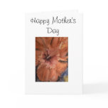 Hibiscus cards