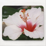 HIBISCUS -CHINESE ROSE mousepads