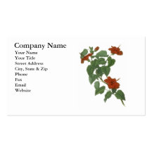 Hibiscus Flower Botanical Drawing Business Card Templates