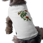 Hibiscus Flower Botanical Drawing pet clothing