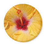 Hibiscus Flower magnets