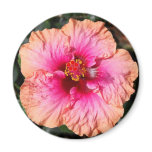 Hibiscus Flower magnets