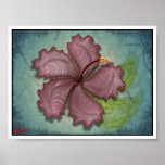 Hibiscus Flower posters