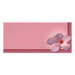 Hibiscus rack cards