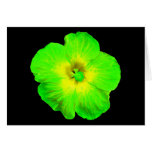 Hibiscus: Green & Yellow "Ultraviolet Glow" Card