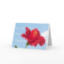 Hibiscus Greetings Greeting Cards
