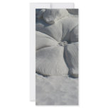 Hibiscus In sand Customized Rack Card